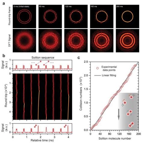 科学家打造平行光孤子反应器 可控制观察孤子分子动态新浪科技新浪网