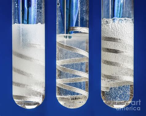 Comparison Between Acid Reactions Photograph By Martyn F Chillmaid