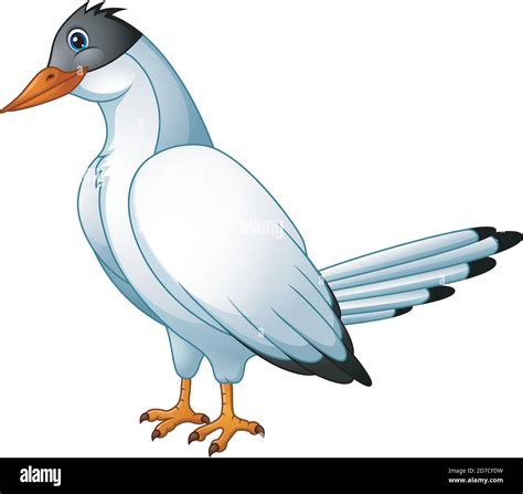 Vector Illustration Of Cute Bird Tern Cartoon Stock Vector Image And Art