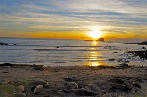 Poze Plajă Mare Coastă Nisip Stâncă Ocean Orizont Nor Răsărit