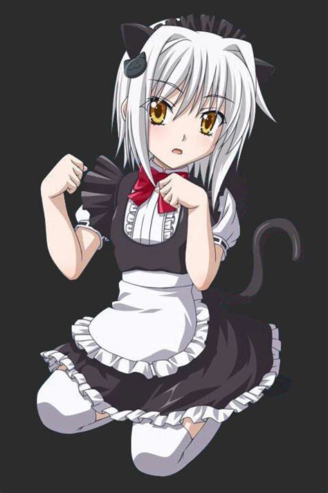 Koneko Neko Wiki •anime• Amino