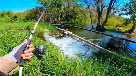 Pescando Hermoso R O Repleto De Lobinas Youtube