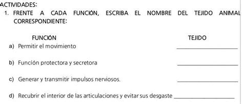 Actividades Frente A Cada Funci N Escriba El Nombre Del Tejido