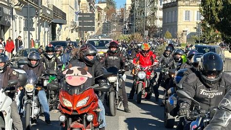 Dordogne près de 400 motards déguisés en vaches à lait défilent