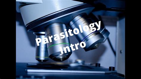 Parasitology Intro Youtube