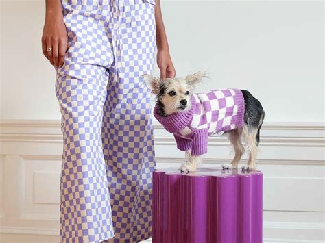 Dog and Human Matching Outfits · The Wildest