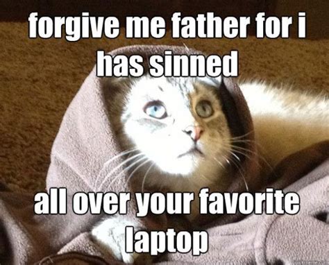 Biblical Moments If Jesus Was A Cat 14 Pics