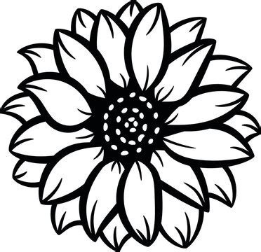 Sunflower Clipart Images – Browse 18,613 Stock Photos, Vectors, and ...