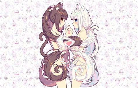 Pin By Tyler Jhon On Nekopara Anime Art Tutorial Nekomimi Cute Text