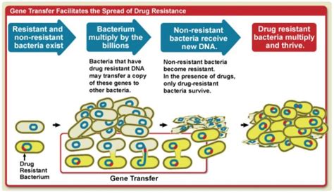 What Is Antimicrobial Resistance Amr Public Health Notes