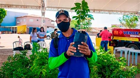 Semana do Meio Ambiente em LEM terá palestras oficina distribuição de