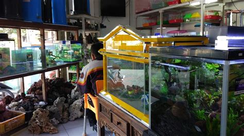 Toko Aquarium Terbaik Di Solo