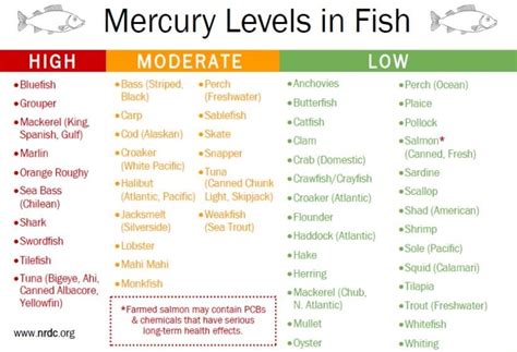 Mercury Levels in Fish | Keep the Tail Wagging