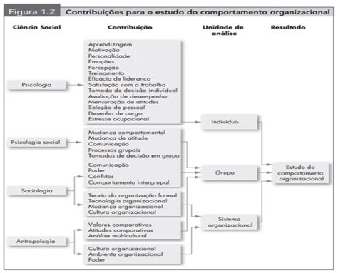 Import Ncia Da Cultura Organizacional Na Gest O De Pessoas