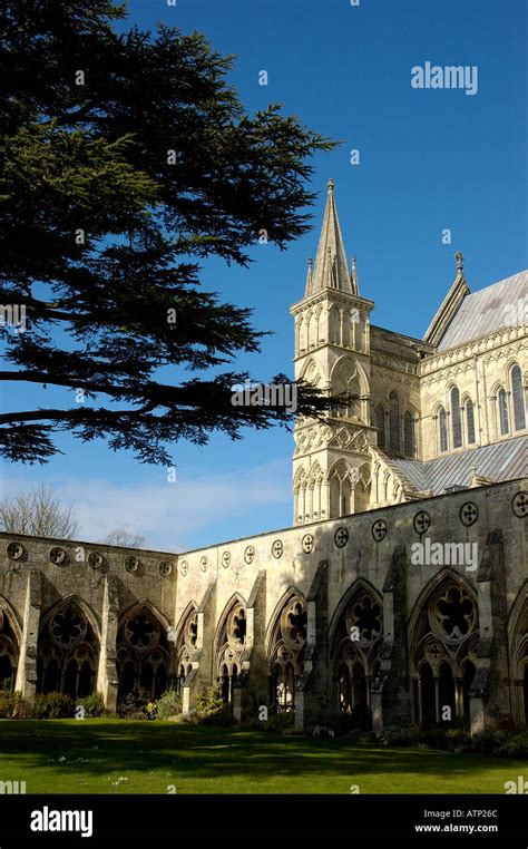 Salisbury Cathedral Salisbury Wiltshire England Uk United Kingdom