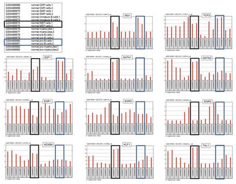 Genes Special Issue Hox And Tale Gene Function In Evolution