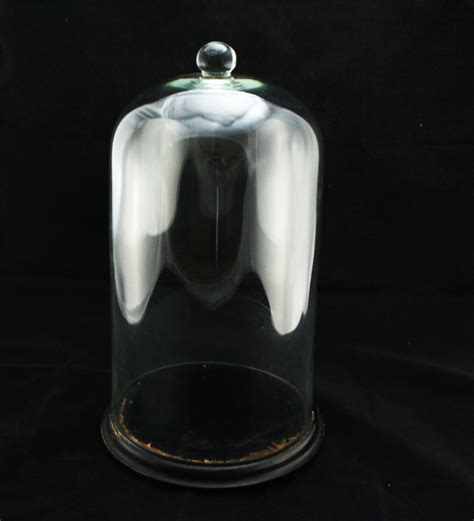 Glass Bell Jar Hahnemann House Trust