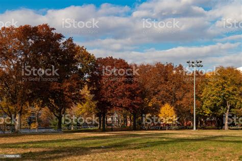 Grass Field At Queensbridge Park In Long Island City Queens New York