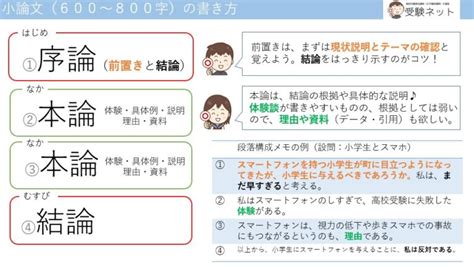 【高校生や初心者向け】小論文の書き方・段落構成を分かりやすく教えてください！｜著者：予備校小論文科講師 受験ネット