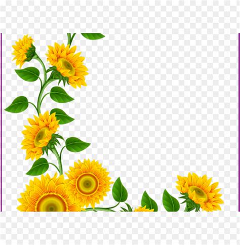 3 Sunflowers Clipart 10 Free Cliparts Download Images On Clipground 2024