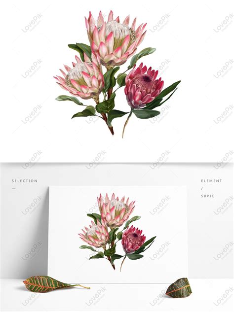 Emperor Flower PNG Images With Transparent Background | Free Download ...