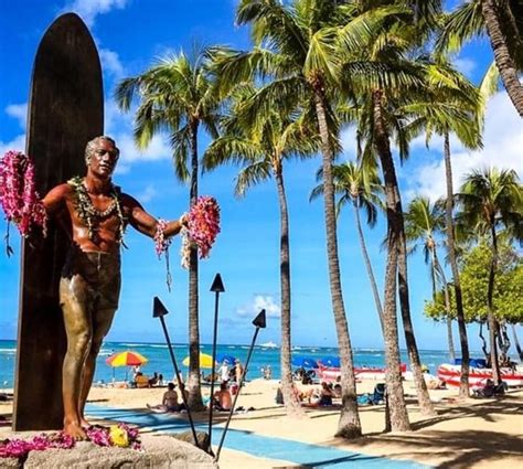 Oahu Sightseeing Walking Custom Tour With A Local Guide