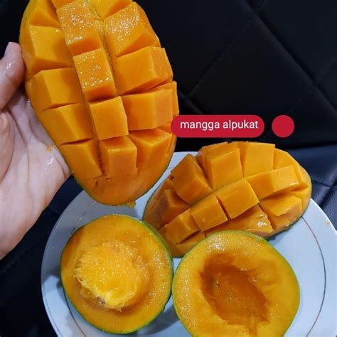 Jual Mangga Alpukat Matang Pohon ASLI Kulit Hijau Keras Isi Orange 1