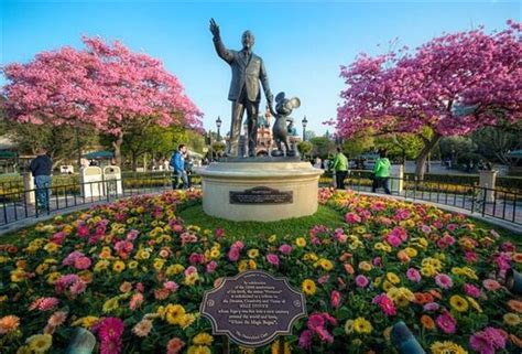 Anaheim-Disneyland Pictures | U.S. News Travel