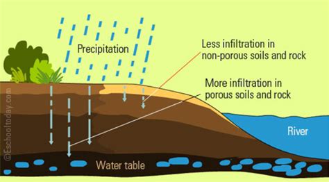 Water Cycle Presentation By Garret Sharp