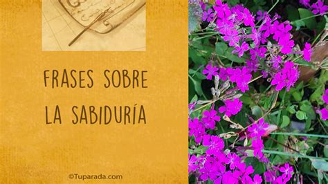 Frases De Sabidur A Frases C Lebres De Sabidur A Para Compartir