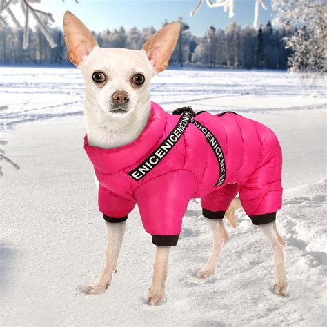 Winter Dog Jacket | That's So Fetch!