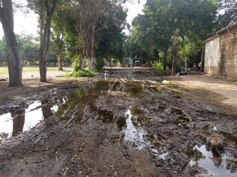 Habitantes De La De Mayo Viven Entre Aguas Negras