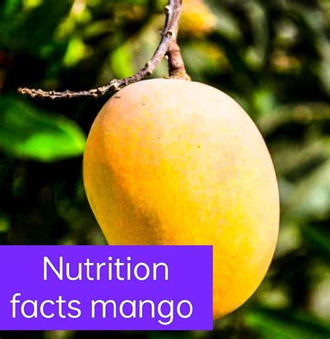 Mango Nutrition Facts Nutrition Facts Mango By Jitendra Hati Medium