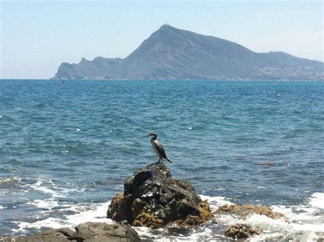 Sewage Is Being Dumped In The Sea Off Benidorm Ecologists In Spain