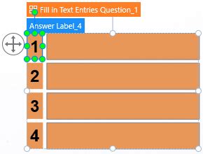 How To Create Fill In Text Entries Questions In Activepresenter