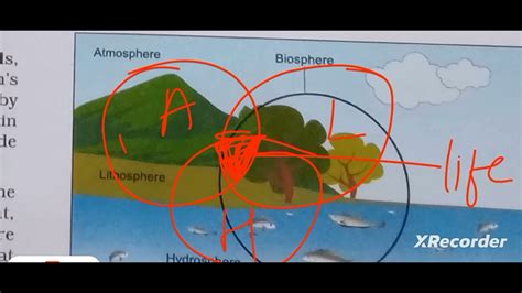 Class 7 Geography Chapter 1 The Earth S Structure And Landforms YouTube