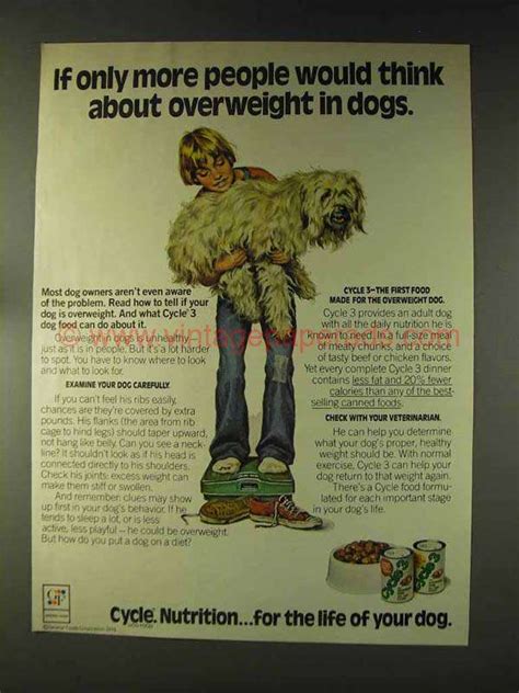 1976 Cycle 3 Dog Food Ad Overweight In Dogs Dg0988