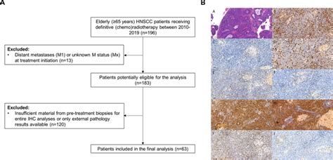 Consort Diagram And Representative Immunohistochemistry Stainings