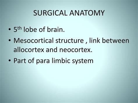 Insular lobe anatomy | PPT