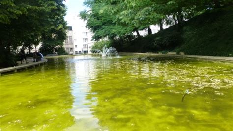 Parc De Belleville Paris France Top Tips Before You Go With Photos