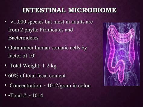 Human Microbiome | PPT | Free Download