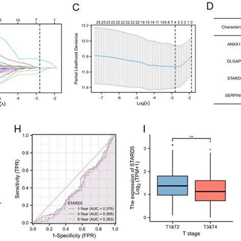 Target Gene Screening And Relationships Between STARD5 And Clinical