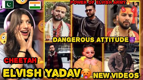 Pakistani Reaction On Elvish Yadav Dangerous Attitude VideosNew