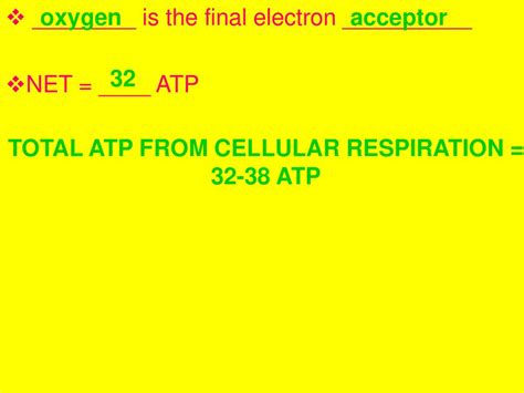 Biology Notes Cell Energy Part 4 Pages Ppt Download