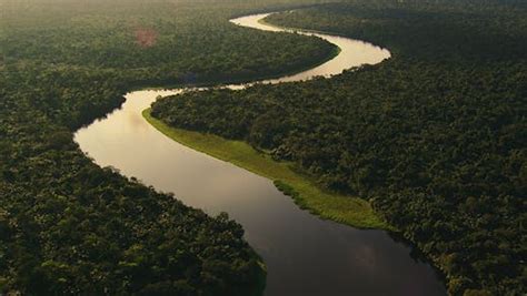 Why is Protecting the Congo Basin Rainforest So… | Bezos Earth Fund