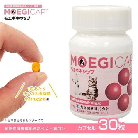 共立製薬 モエギキャップ 100粒 カプセル 犬猫用健康補助食品 【即出荷】