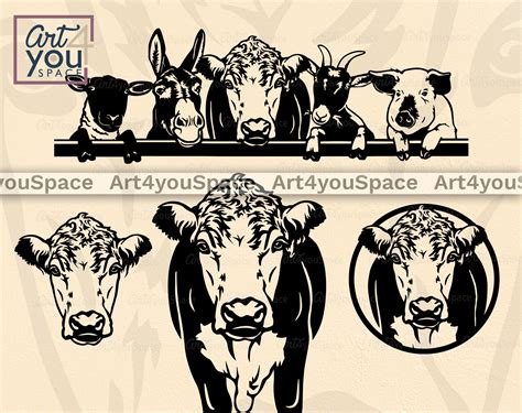 Hereford Cow Svg Files For Cricut Heifer Clipart Download Etsy España