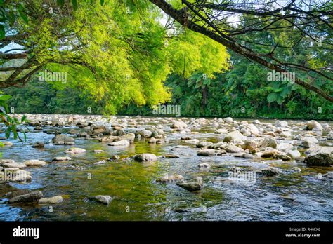 Scenic rocky river bed of Anatoki River and lime green of new willow ...