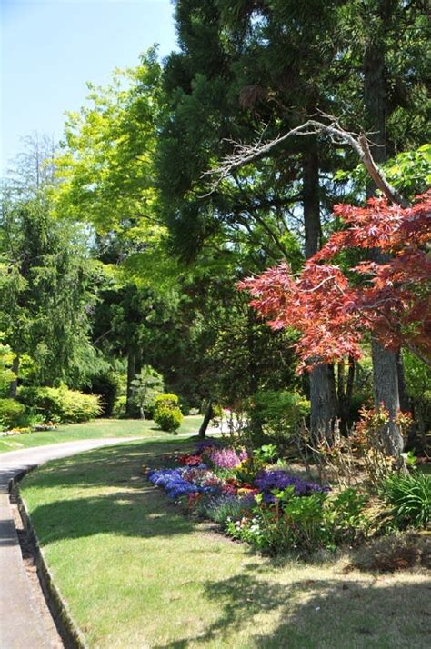 春花風景 湧永庭園 5月のバラ 綺麗な写真 日々出来事