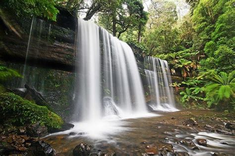 Russell Falls - Alchetron, The Free Social Encyclopedia